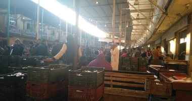 تعرف على 5 أماكن لبيع الأسماك بأسعار مخفضة فى كفر الشيخ