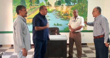 محافظ أسوان يكلف بمعاينة وتجهيز 190 لجنة استعدادا لانتخابات مجلس النواب