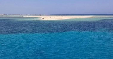 توبيا البيضاء.. جنة بحرية بسفاجا تجمع سحر الطبيعة وروعة الأعماق.. صفاء مياهها الفيروزية وبياض رمالها الناعمة يخطف الأنظار.. مقصد عشاق الغوص والهدوء ومراقبة السلاحف والدلافين وجوهرة خفية بالقرب من سوما باى.. صور