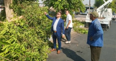 حملات تجميل وقص للأشجار على المسار السياحى وشوارع مدينة البياضية بالأقصر.. صور