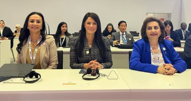 القمة العالمية للتنمية الاجتماعية من كوبنهاجن للدوحة تتصدر مؤتمر التضامن