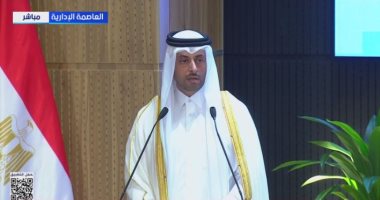 وزير قطرى: علم الروم مساحته 20 مليون متر مربع باستثمارات 29.7 مليار دولار