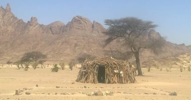 مأوى الضيافة والكرم فى قلب الصحراء.. بيت «الليكاب» صمد فى وجه الزمن بين قبائل البشارية والعبابدة بحلايب وشلاتين.. من جذوع الأشجار وسعف النخيل يبنى رمز الكرم العربى فى قلب الصحراء الشرقية جنوب البحر الأحمر.. صور