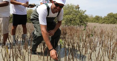 زراعة ألف شجرة مانجروف على شواطئ مرسى علم لتعزيز التنوع البيئى ومواجهة تغير المناخ