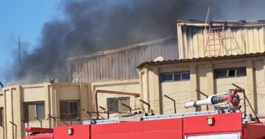 محافظ الإسكندرية: 5 سيارات إطفاء للسيطرة على حريق بمخزن ملابس ومصاب واحد