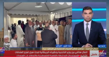 جمال الوصيف: إقبال مئات المصريين بالسعودية على المشاركة فى انتخابات مجلس النواب
