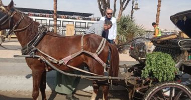 محافظ الأقصر يتابع الإلتزام بالنظافة وطريق المسار السياحي بمدن الأقصر والقرنة.. صور