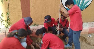 زراعة الأشجار داخل المدارس بأسوان