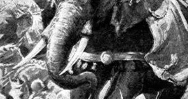 الأفيال في حروب الإغريق... كيف غير الإسكندر الأكبر فنون الحرب؟