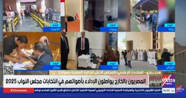 الأعلى للجالية المصرية بهولندا: إقبال كبير للمرأة والشباب بانتخابات النواب