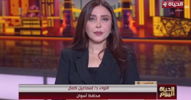 محافظ أسوان: 190 لجنة فرعية جاهزة لاستقبال الناخبين فى العرس الديمقراطى