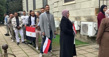 مشاركة تاريخية للمصريين بالخارج في انتخابات مجلس النواب من الخليج لأوروبا