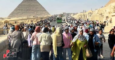 ارتفاع قياسي فى أعداد زوار الأهرامات والمتحف المصرى الكبير.. فيديو