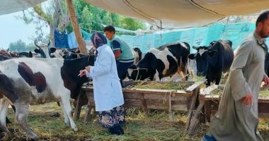 مركز البحوث الزراعية يؤكد علاج أكثر من 3300 رأس ماشية بالمجان فى المنيا