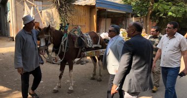 محافظ الدقهلية فى جولة مفاجئة بقرية البجلات.. ويوجه بتحسين الخدمات والنظافة