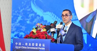 وزير الاستثمار 