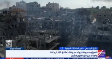 خبير: تنسيق مصري قطري لدعم وقف إطلاق النار في غزة