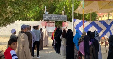 التنسيقية: الانتخابات تشهد إقبالا بمدينة الفرافرة فى الوادى الجديد