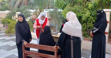 صحة الوادى الجديد: نشر فرق التأمين الطبى بنطاق لجان انتخابات النواب