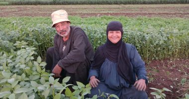 من قلب الغيطان.. نجاة فلاحة مصرية تحيي تراث الغناء الشعبى بصوت أصيل.. نبراتها تعيد للأذهان زمن الفن الجميل.. 36 عاما من الكفاح والحب مع زوجها تحت شمس الحقول لتربية أبنائهما.. تتمنى زيارة بيت الله الحرام.. فيديو