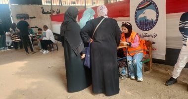 مندوبو الأحزاب يساعدون الناخبين على معرفة لجانهم الانتخابية بالهرم