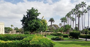 استمتع بسحر الإسكندرية شتاءً.. أجمل أماكن الفسح والمشاهد البحرية