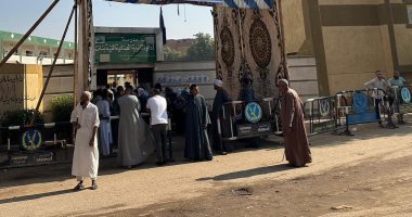 التنسيقية: إقبال كبير على لجان أسوان للتصويت فى انتخابات النواب