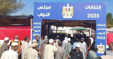 رسالة وعى وانتماء.. المصريون يرسخون الديمقراطية بمشاركتهم الواسعة فى انتخابات مجلس النواب.. برلمانيون: دليل على نزاهتها ويدعون المواطنين لمواصلة التصويت.. الوطن أكبر من الجميع