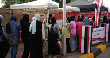 التنسيقية: إقبال ملحوظ على لجان الجيزة بانتخابات مجلس النواب 2025