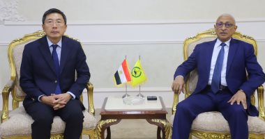 سفير سنغافورة يشيد بجهود مصر في دعم الاستقرار الإقليمي