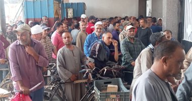 عمال الصناعات الغذائية بالصعيد يشاركون بكثافة فى ثانى أيام انتخابات مجلس النواب