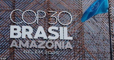 غضب بعد إزالة 100 ألف شجرة من غابات الأمازون لتسهيل حركة ضيوف قمة المناخ 