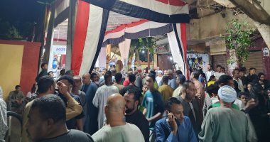 انتخابات مجلس النواب.. إقبال كبير على لجان الأقصر قبل غلق اللجان.. فيديو وصور