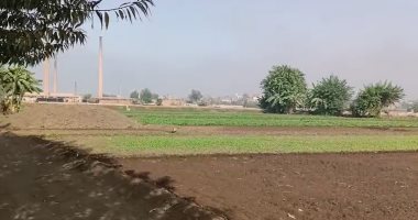 طقس منخفض الحرارة ورطوبة متوسطة بكفر الشيخ الثلاثاء 11 نوفمبر 2025