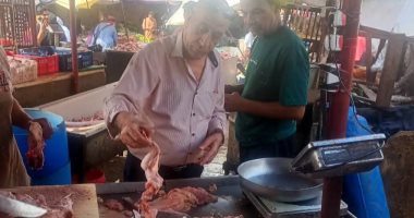 جانب من الحملة