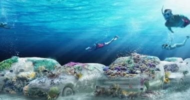 سيارات خرسانية تتحول إلى شعاب مرجانية بحديقة تحت مياه ميامى.. صور