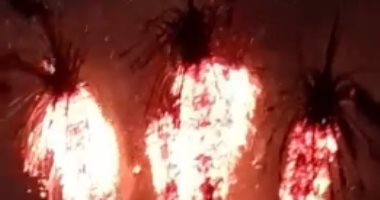 السيطرة على حريق بنخيل ببنها فى القليوبية دون خسائر بشرية..فيديو