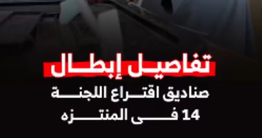 تفاصيل إبطال صناديق اقتراع اللجنة 14 فى المنتزه.. فيديو