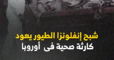 شبح إنفلونزا الطيور يعود.. كارثة صحية فى أوروبا.. فيديو 