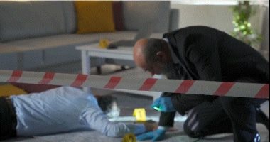 ضبط المتهم بقتل مهندس نووى بالإسكندرية والسلاح المستخدم فى الجريمة.. فيديو