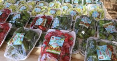 بشائر الخير 