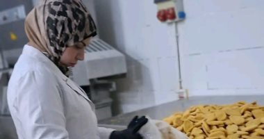 ضبط 8 أطنان دواجن فاسدة بحملات تفتيشية مفاجئة بالعاشر من رمضان  