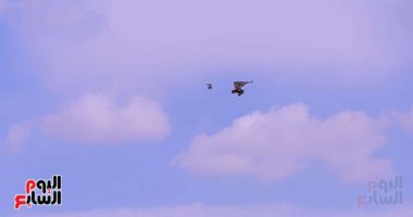 طائرة شراعية تُحلّق فوق الأهرامات فى مشهد يلتقط جمال الصحراء