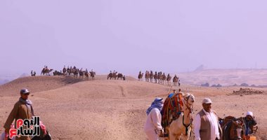 قوافل الجمال والصحراء.. الأهرامات بين أصالة التراث وسحر الطبيعة