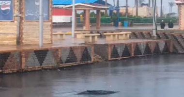 طقس منخفض وتحذير من البرق والرعد المتوقع بكفر الشيخ اليوم