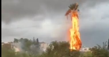 حريق في أشجار النخل بالأراضي المحتلة