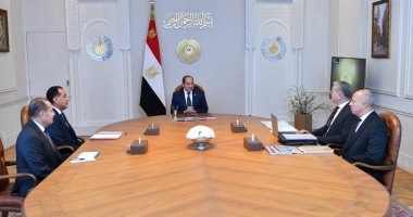 الرئيس السيسى: توسيع نطاق الاستكشافات للبترول والغاز والاستفادة من التجارب الناجحة