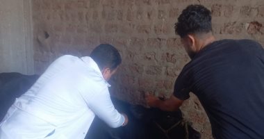 تحصين 67,277 رأس ماشية ضد الحمى القلاعية وتنفيذ 102 ندوة و843 زيارة بأسيوط