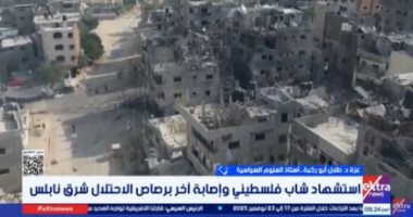 خبير سياسي: مصر قدمت رؤية شاملة وفريدة لحل القضية الفلسطينية