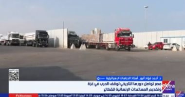 خبير: إقامة الدولة الفلسطينية بات ممكنا رغم التعنت الإسرائيلي